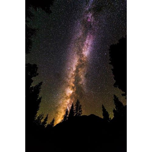The Milky Way over Lizard Head Pass-Uncompahgre National Forest-Colorado-USA